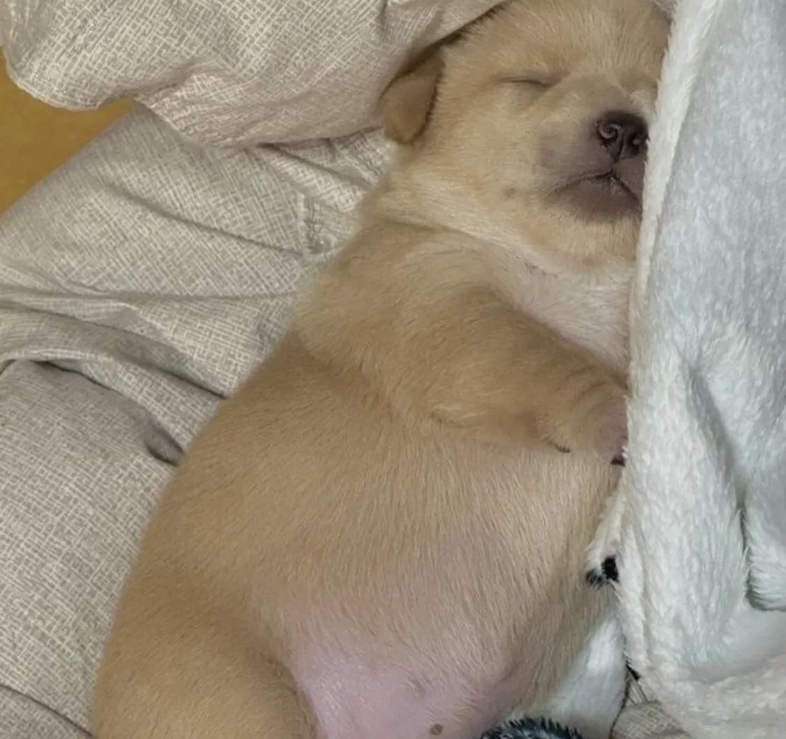 "Aprovecha que sos joven, lleno de energia"

Yo después de almorzar