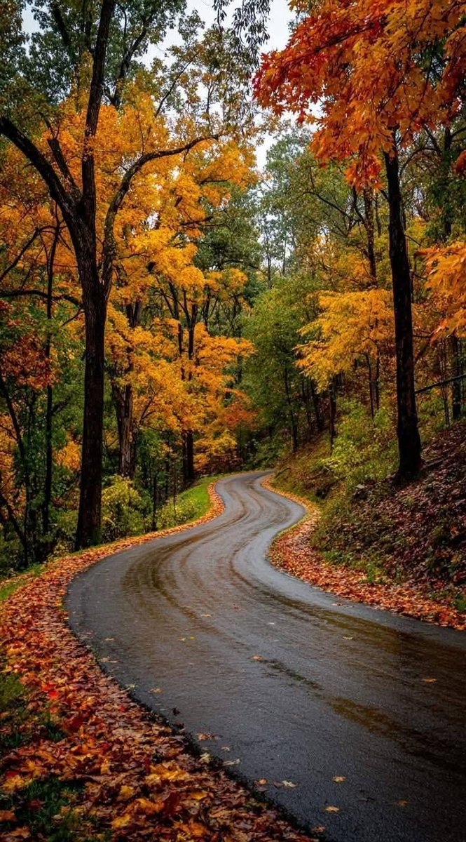 StupendousNatur's tweet image. 