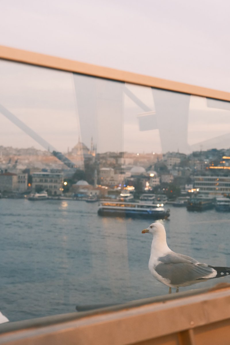 Manzaraya karşı overthinkliyor