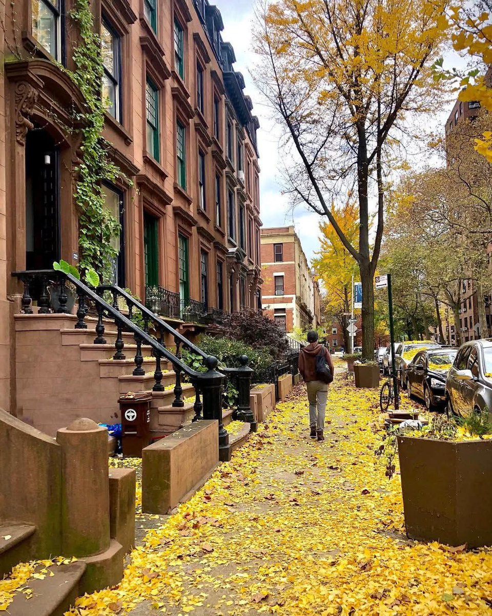 naturebeauty760's tweet image. Brooklyn, New York 🇺🇸