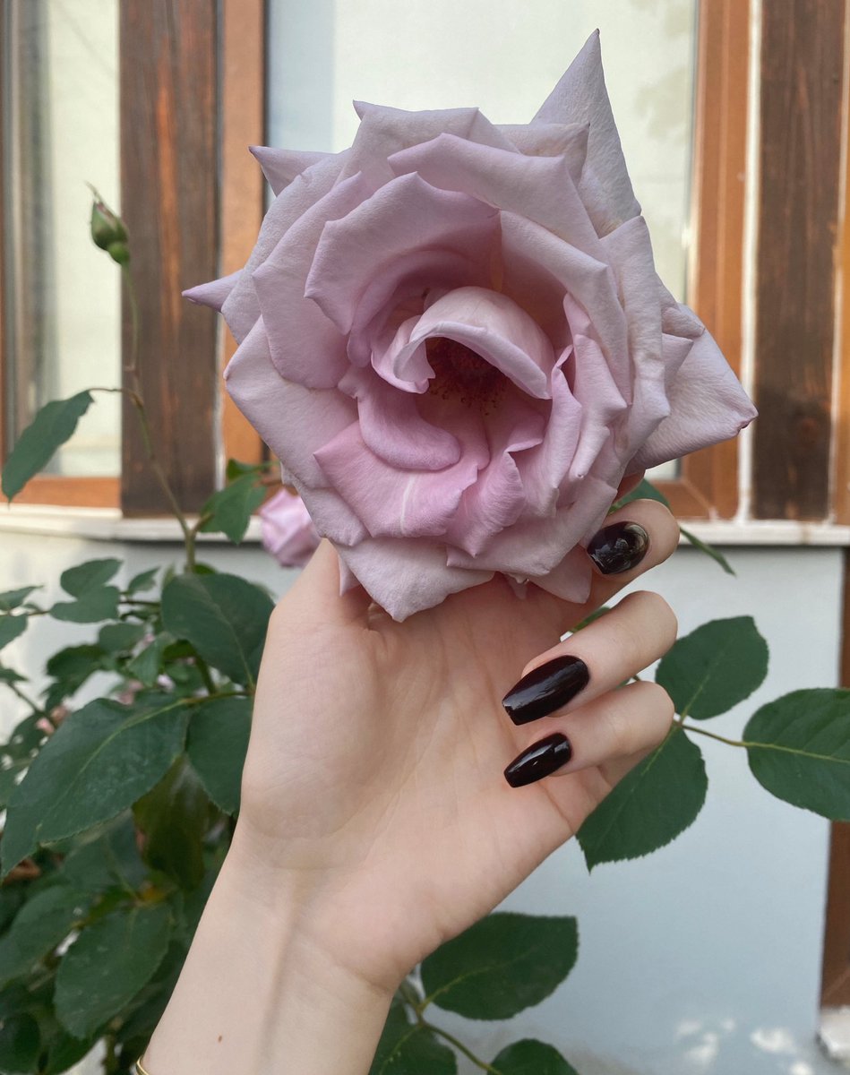 exitsenses's tweet image. 