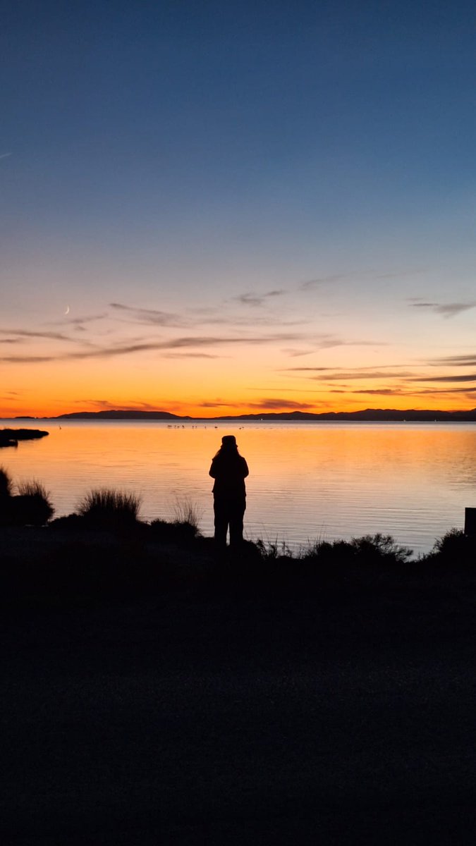 sandrambcrocs's tweet image. quin dia 🧡