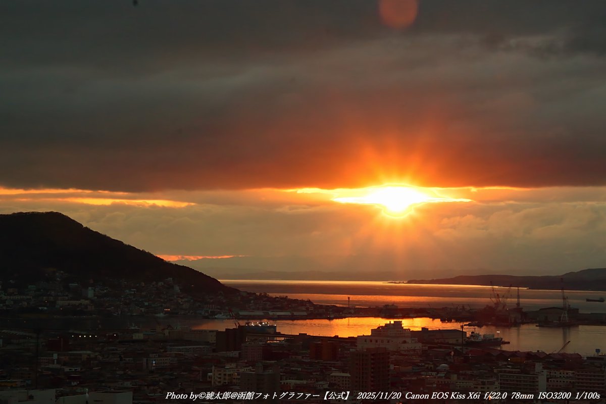 Shyokunin_k's tweet image. 皆さんどうも
今回の函館風景写真は
「秋から冬へ、光と静寂の五稜郭。」

2025年11月20日。
この日は五稜郭タワーへ撮影に行ってきました📷✨
秋から冬へと季節が少しずつ変わりゆく函館。
五稜郭公園では、お堀に映る白いダイサギが静かに水面を歩き、…