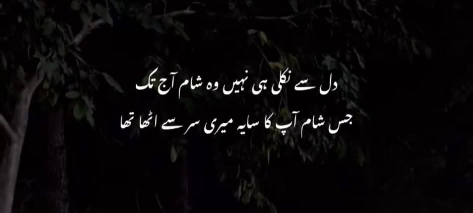 A_Sheikh098's tweet image. Right 👍 

#HIGHLIGHT 
#Pakistan 
#LovePain