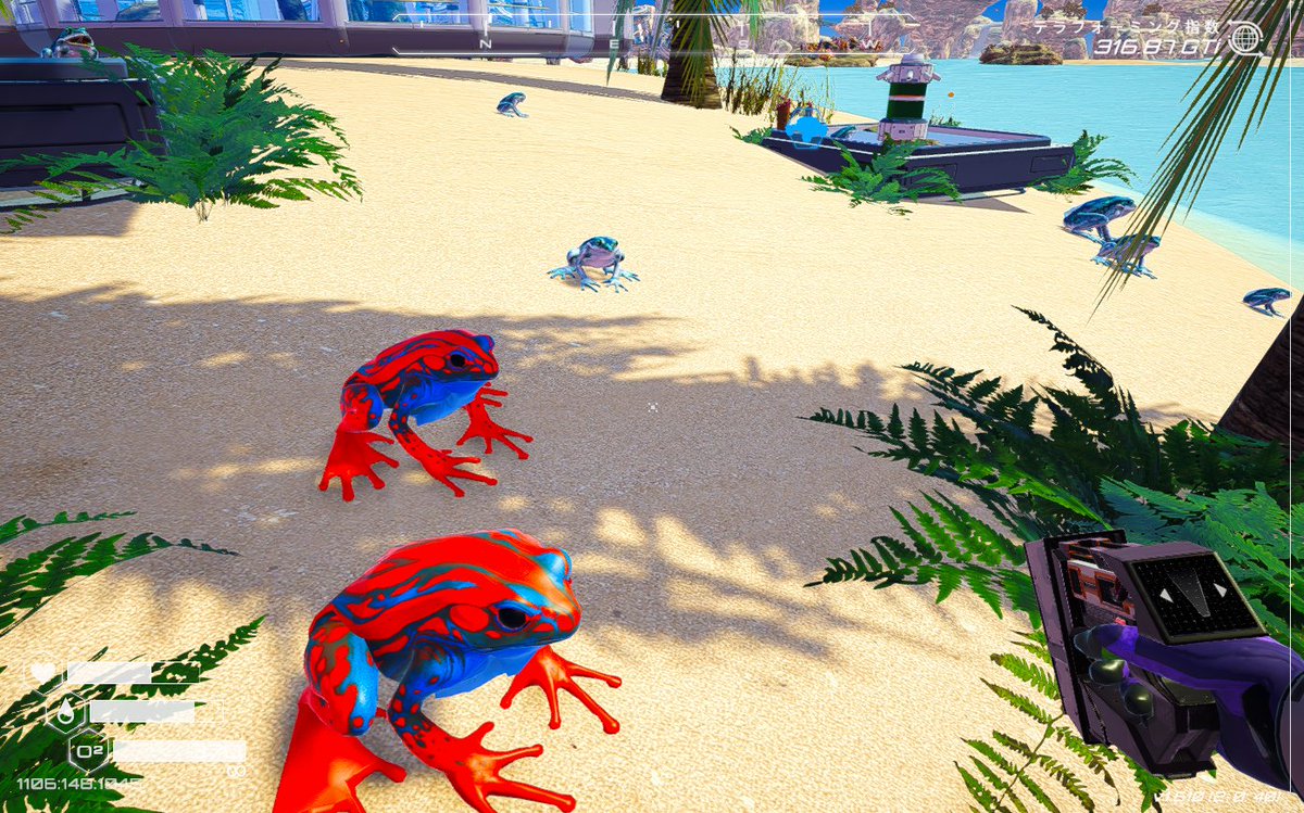 カエルがたくさん(^^)/