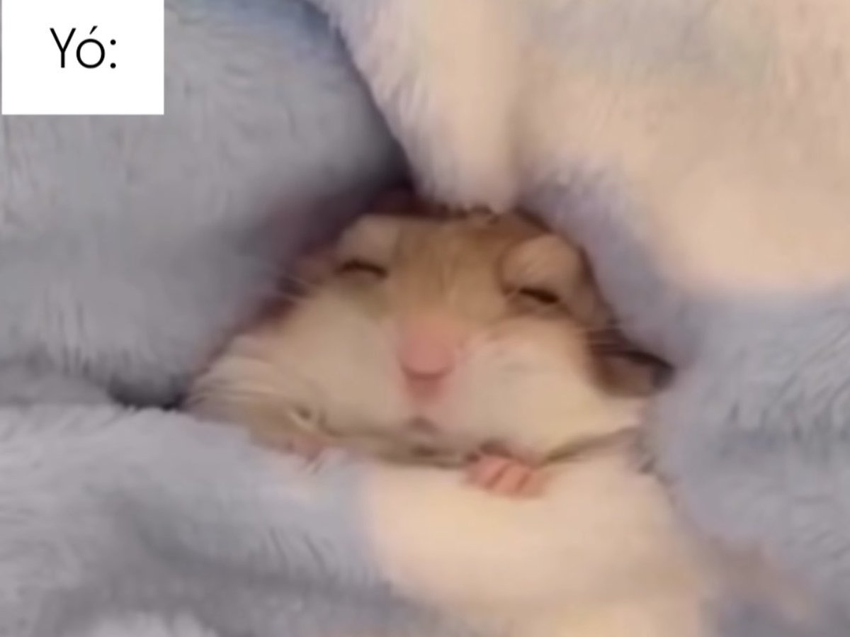 Trabajo toda la semana y llega mi día libre: