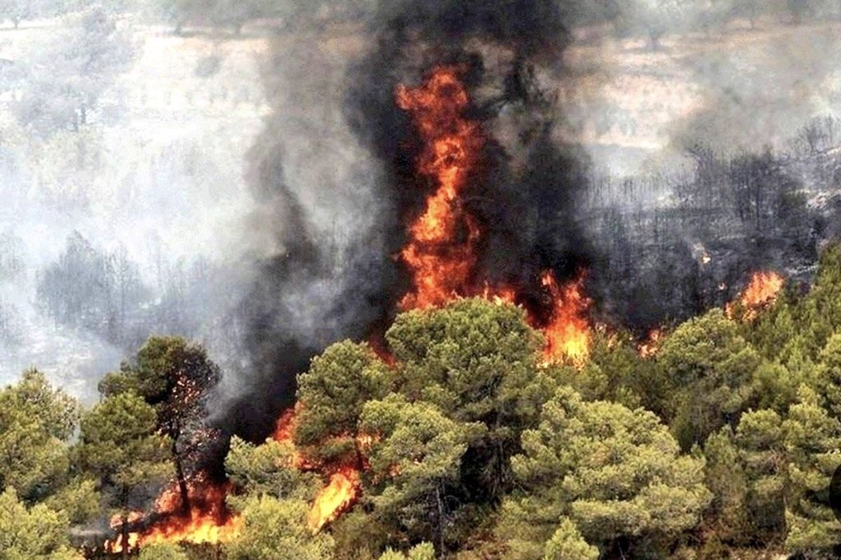 درختان هیرکانی زبان ندارند؛
ما باید فریادشان باشیم
آگاهی یعنی مقاومت
انتشار دهید
بازنشر کنید،سکوت نکنید.
#هیرکانی