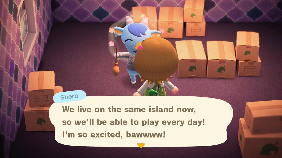 IJ_crossing's tweet photo. After 5 years of playing ACNH I finally found Sherb 🩵 

I always cut my hunts short, but this time I decided I wouldn’t stop until I found him, and I did! About 200 nmt later and he’s here! I love him so much! 🩵 https://t.co/yrPWd5PkAE