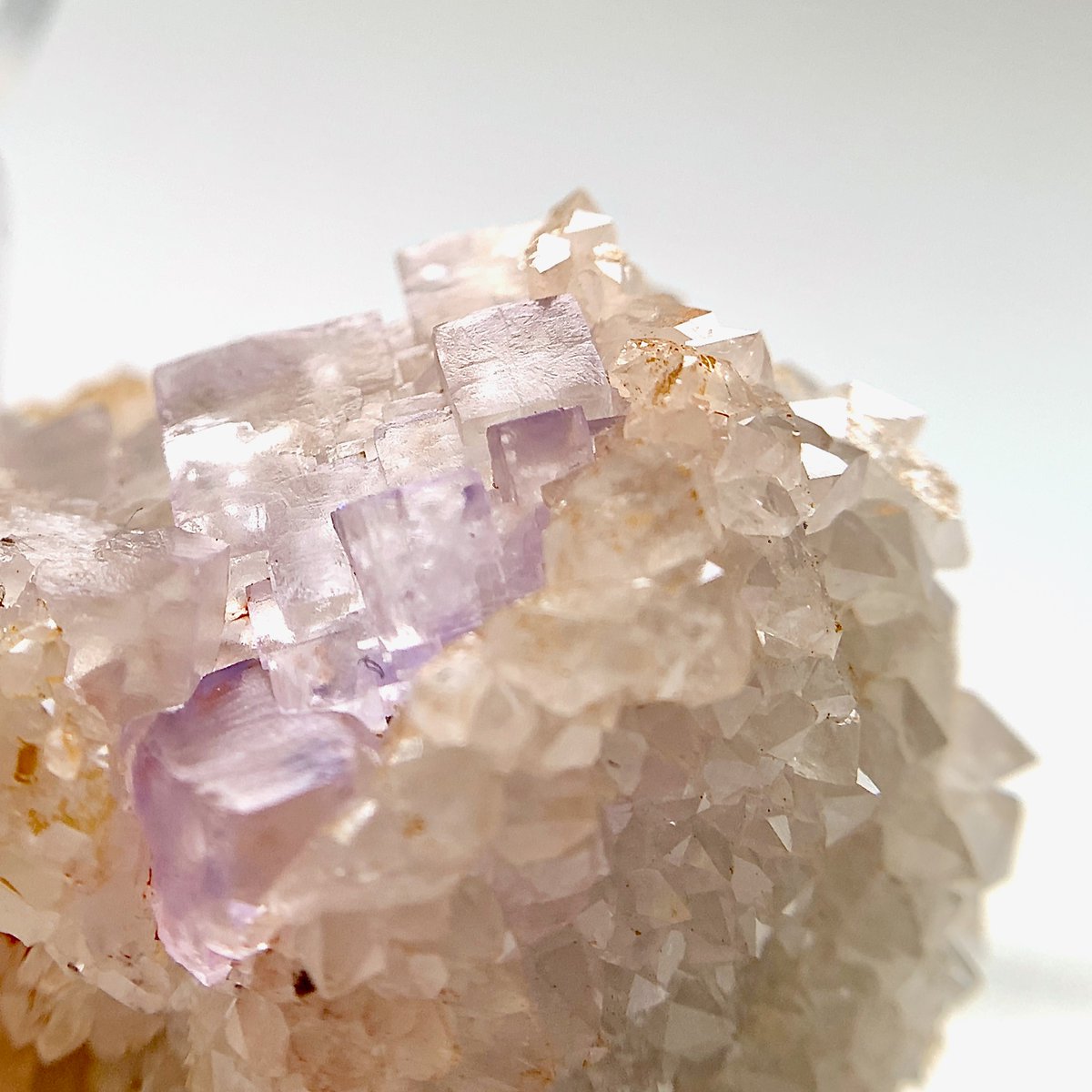 カズホ (@kxhmkmi) / Posts / X