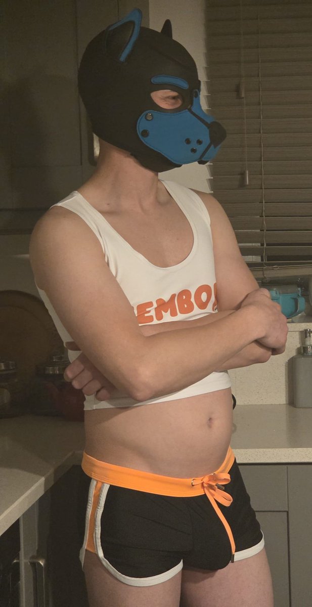 Hooters? Who are they anyway? <a href="/Ghostpup2/">👻GhostPup🐕</a>