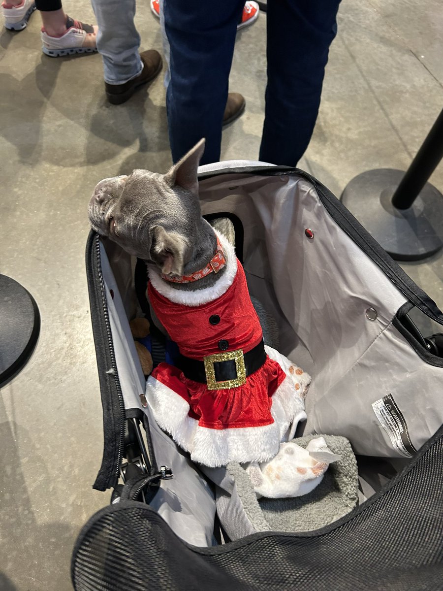 Cherry_kyu1's tweet image. Someone took pictures with Santa today 🥹