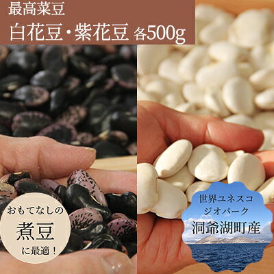 ふるさと納税】北海道 洞爺湖町産 高級菜豆 2種 白花豆 500g 紫花豆