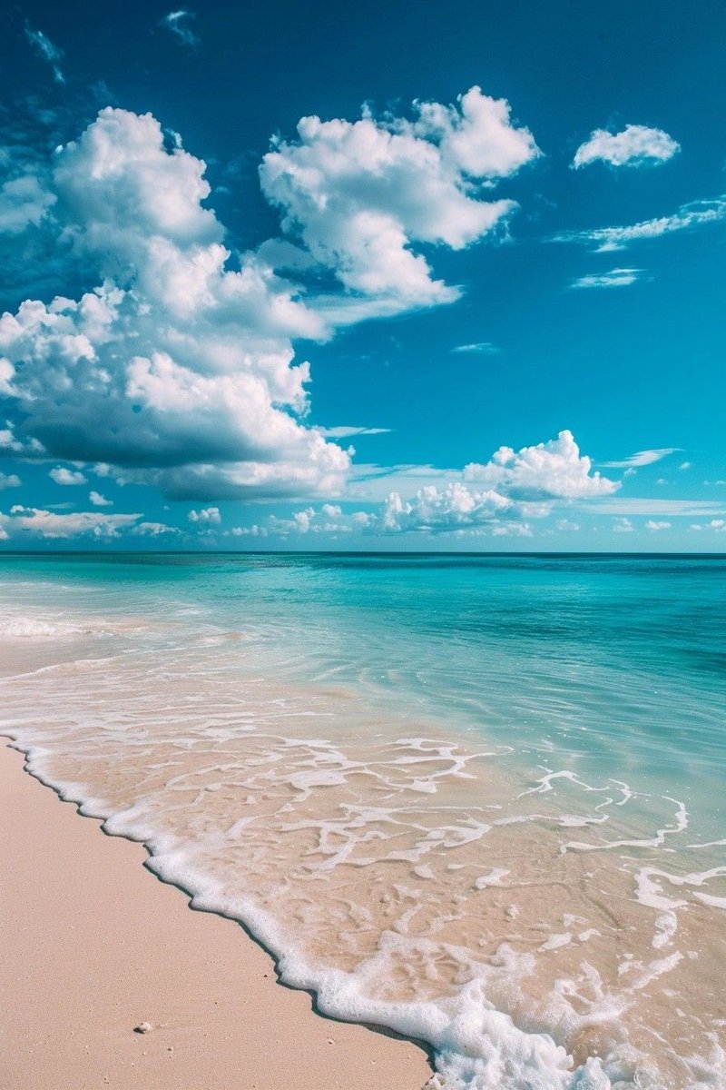 water_diaries's tweet image. 