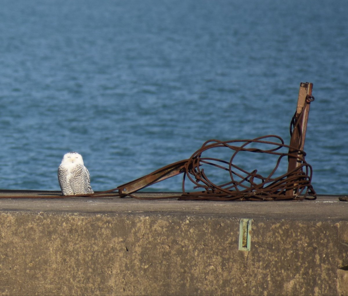 Jon Heise tweet media