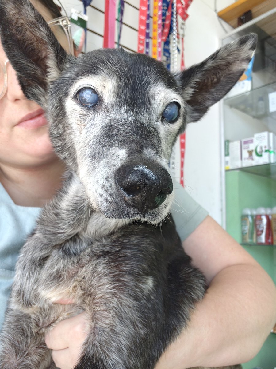 Hoy tenemos que hacer placa nuevamente para control. Dale Lunita