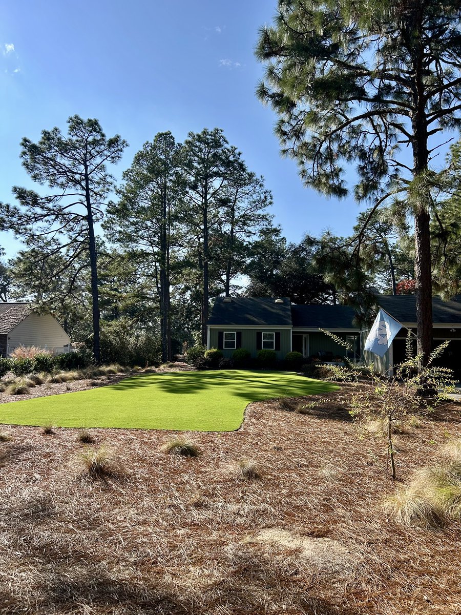 TifTuf is still hanging in there after the cold snap 10 days ago! 

Hope everyone has a great weekend!