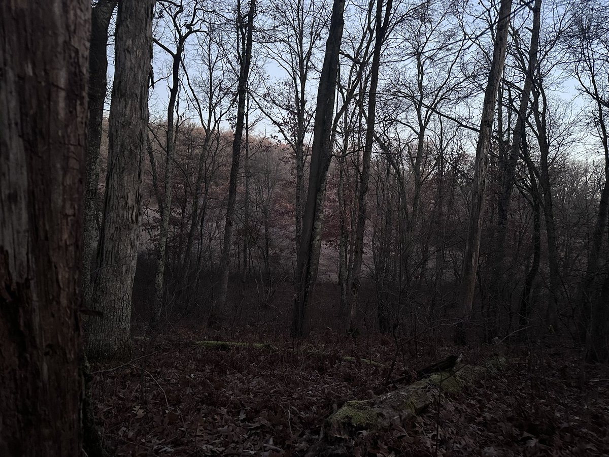 DocDos5's tweet image. We keep looking for these over populated Michigan deer but can find them.