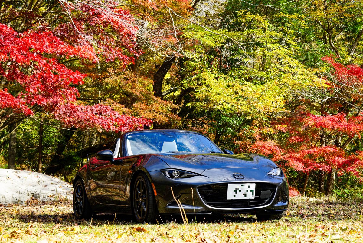 nd_tyk72's tweet image. なんだか車高が良い感じに見えルン🎶