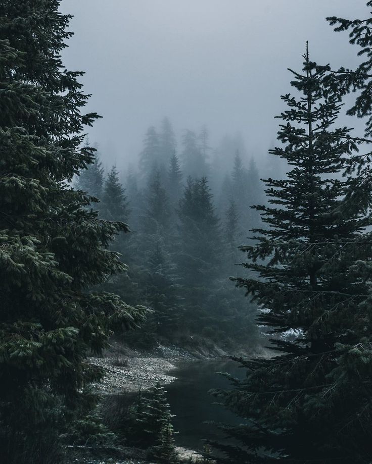 elemmiressoul's tweet photo. foggy weather. https://t.co/sRQsRv5Hyk