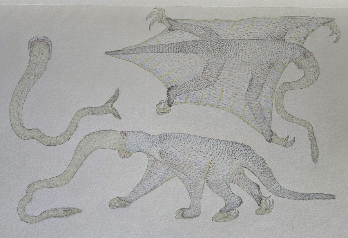 SpikedMenace's tweet photo. Gliding creature with two faces https://t.co/mR4v1OHxwk