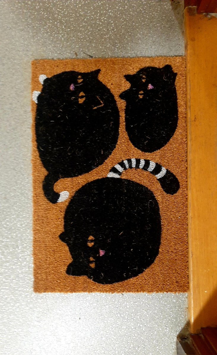 Mili ☆ Famili
#cats