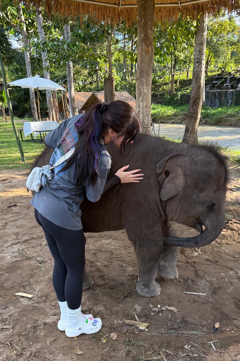 Shelby Schweitzer tweet media