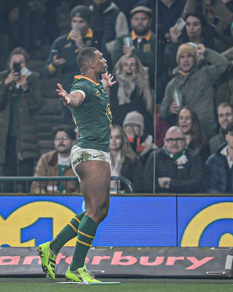 joy_zelda's tweet image. Don&apos;t Say anything Just Retweet for Damian Willemse 
#Springboks 
#NoDNAJustRSA