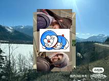 Killer Trees tweet media