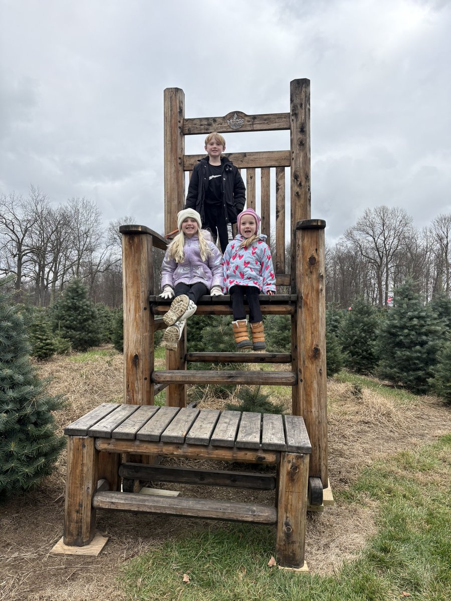 Seems early for a Christmas tree but I just do as I’m told.