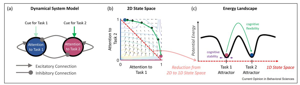 𝗖𝗼𝗴𝗻𝗶𝘁𝗶𝘃𝗲 𝗳𝗹𝗲𝘅𝗶𝗯𝗶𝗹𝗶𝘁𝘆 𝗮𝗻𝗱 𝘀𝘁𝗮𝗯𝗶𝗹𝗶𝘁𝘆 𝘁𝗵𝗿𝗼𝘂𝗴𝗵 𝘁𝗵𝗲 𝗹𝗲𝗻𝘀 𝗼𝗳 𝗱𝘆𝗻𝗮𝗺𝗶𝗰𝗮𝗹 𝘀𝘆𝘀𝘁𝗲𝗺𝘀 
"...trade-off between cognitive flexibility and stability inherent to dynamical system models..." 
by S Musslick and A Bizyaeva