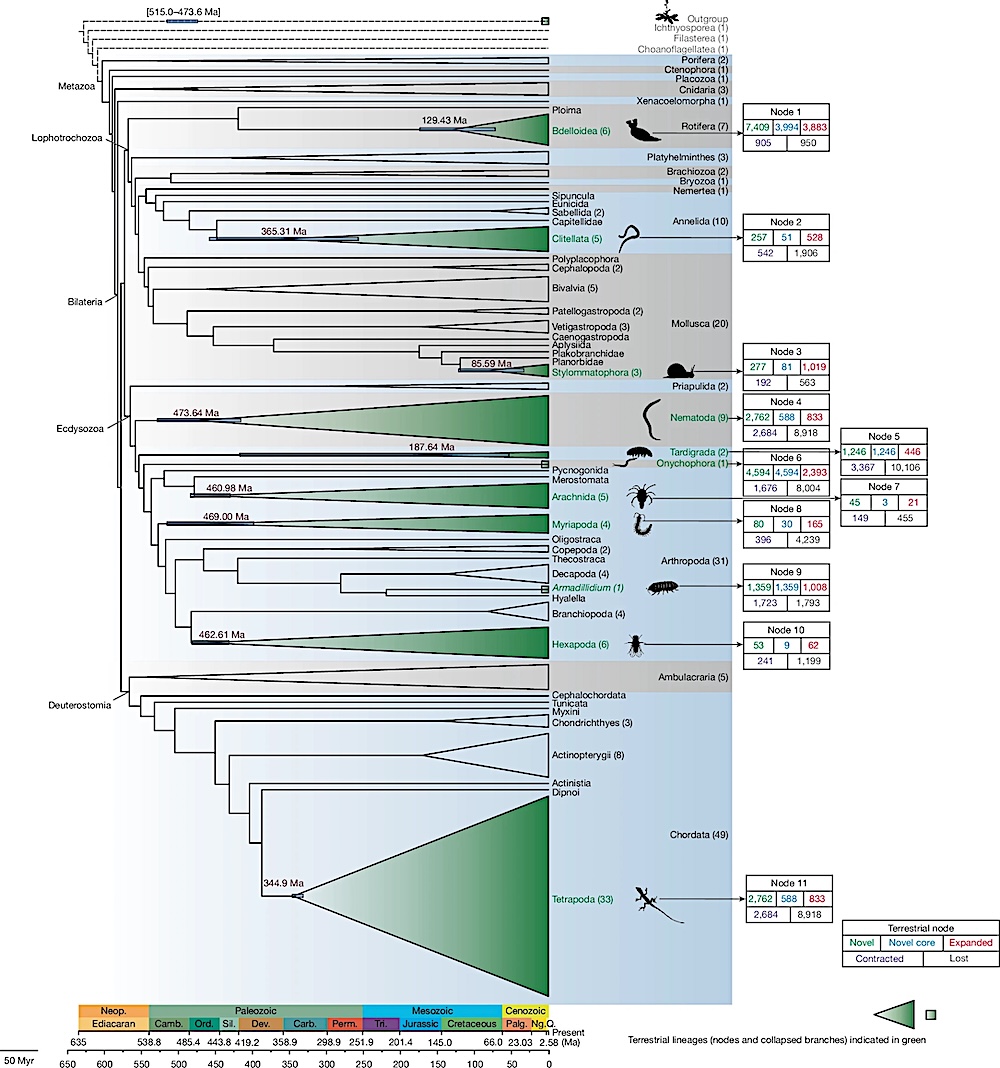 astrobiology's tweet image. How Did Earth&apos;s Animal Life Transition From Aquatic To Terrestrial Environments?
astrobiology.com/2025/11/how-di… #astrobiology #evolution