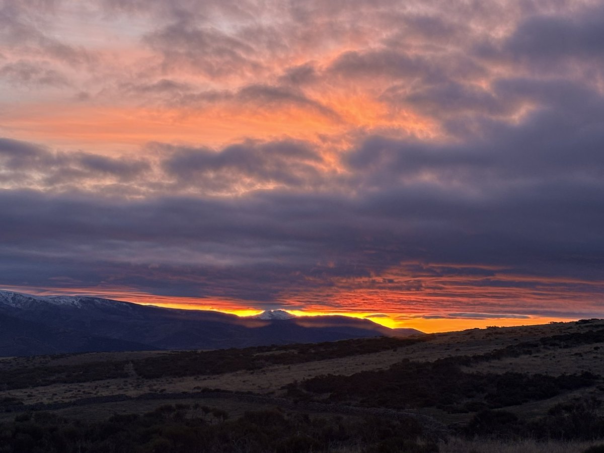 TurismoGredos tweet media