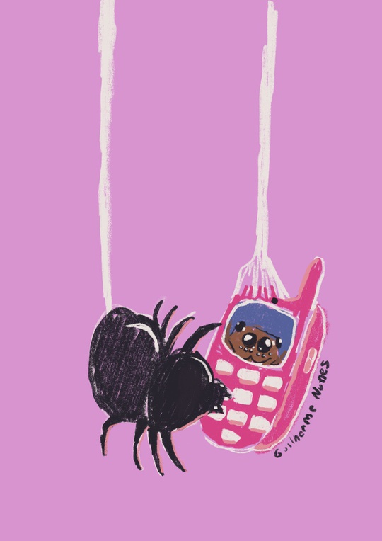 guilhernunes_'s tweet image. spiders gossiping