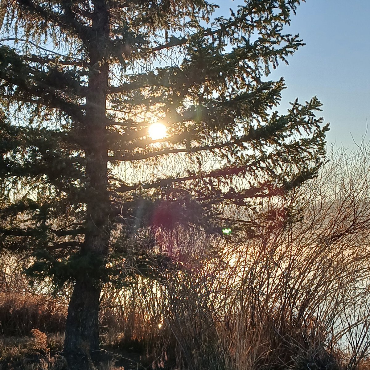 RLove (@ralove911) on Twitter photo 