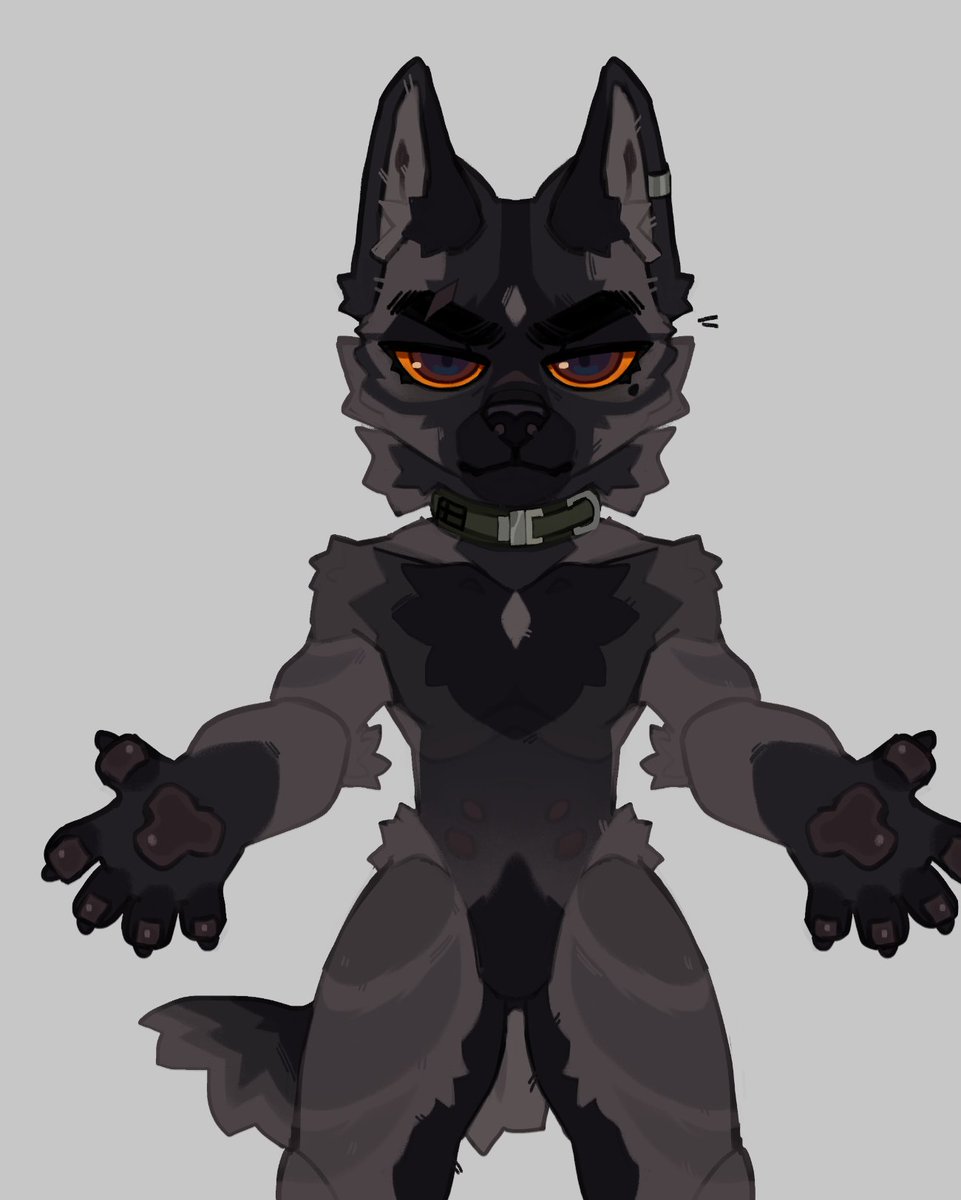 ShyMagp1e's tweet photo. More doggos incoming heheee
I've wanted to do a malinois character for so long https://t.co/u7di4of0xw