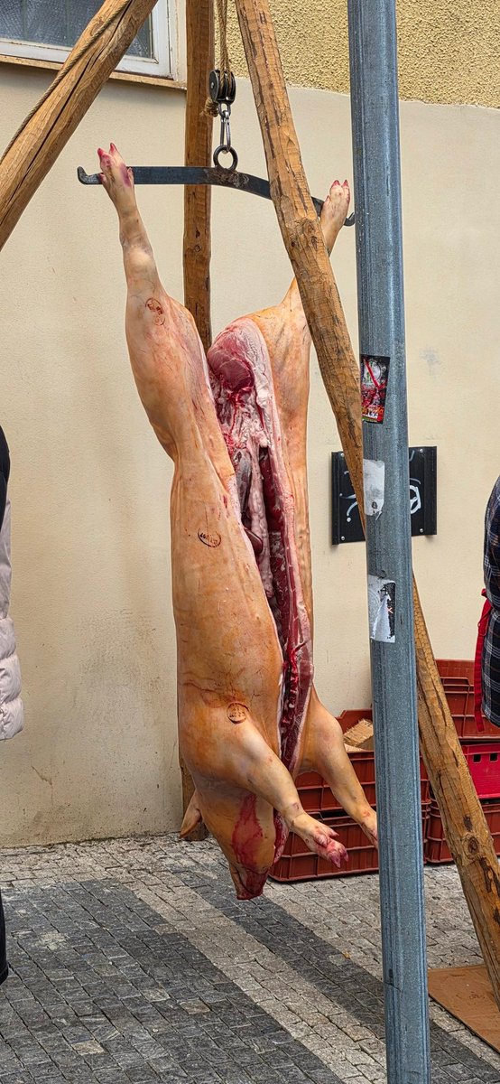 Dnes v Krymské. Dobrá volba jak trávit volný čas.