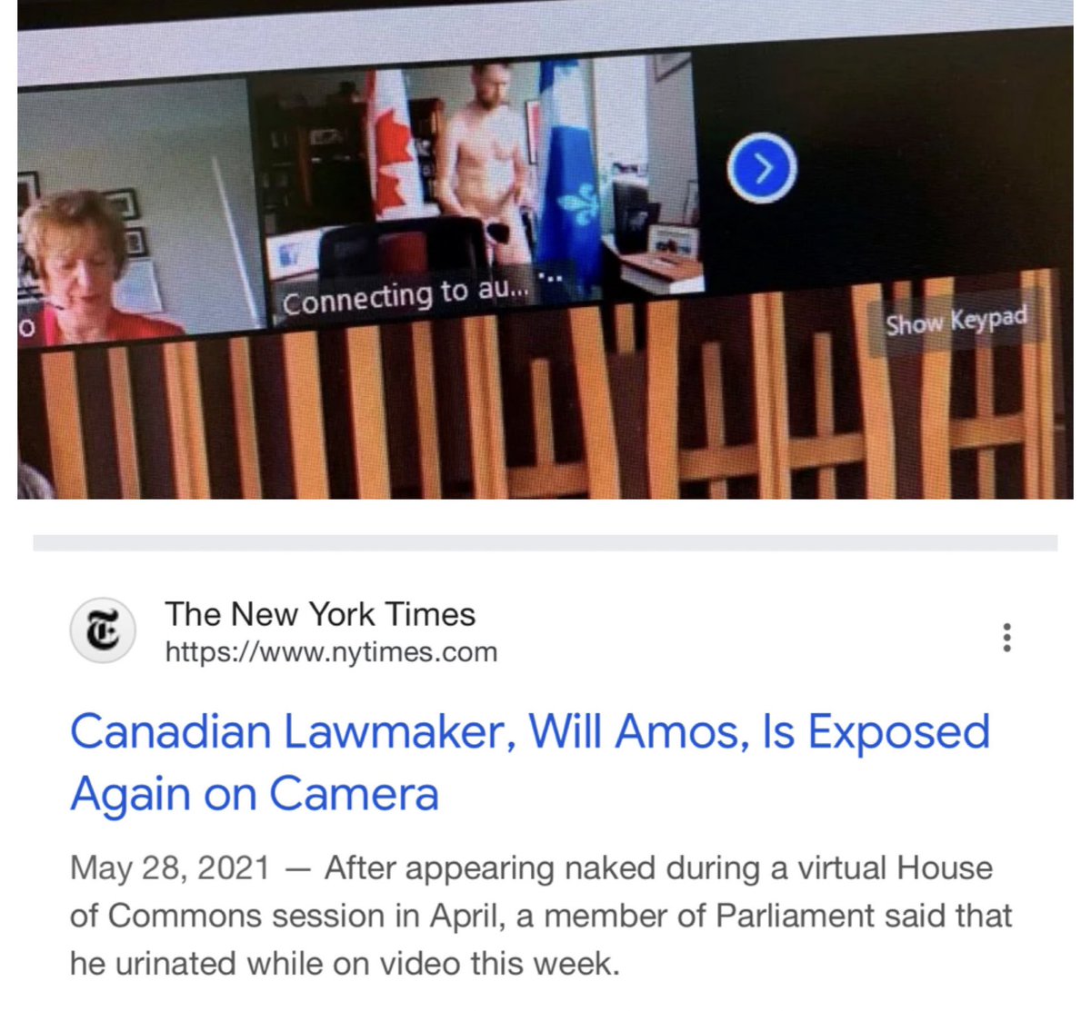 This was a pretty memorable part of the zoom era of parliament too.  

Whatever happened to Free the Willy Amos, anyways? 😂