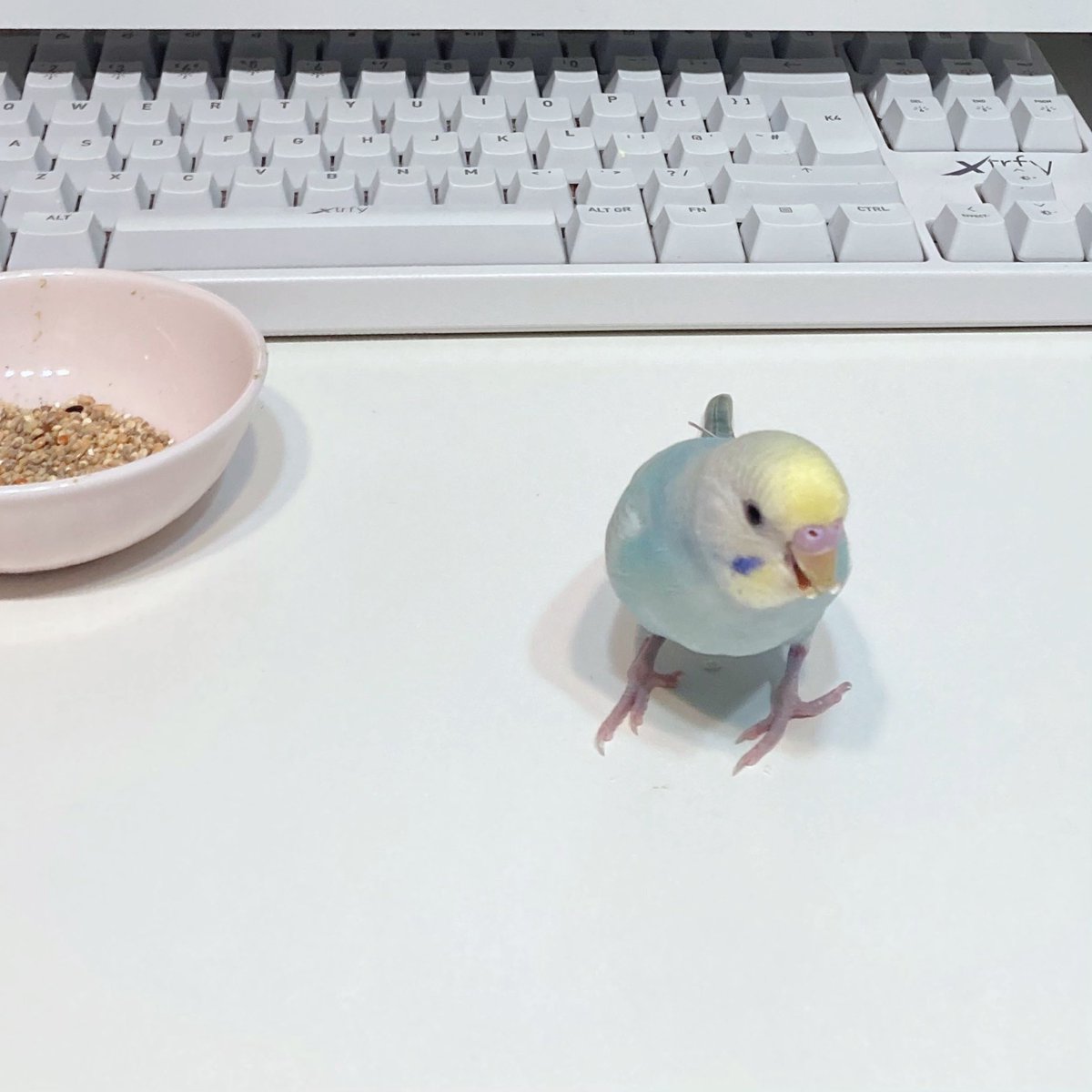 ありがとうございます⁉️⁉️‼️⁉️⁉️⁉️