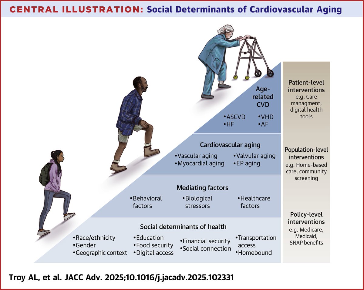 gbiondizoccai's tweet image. Must-read review in the latest issue of JACC on Social Determinants of Cardiovascular Aging jacc.org/doi/10.1016/j.…