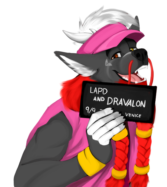 DravWolf's tweet photo. @invaderthegator sure why not? here's my woof derg~ https://t.co/G3sb1nA12B