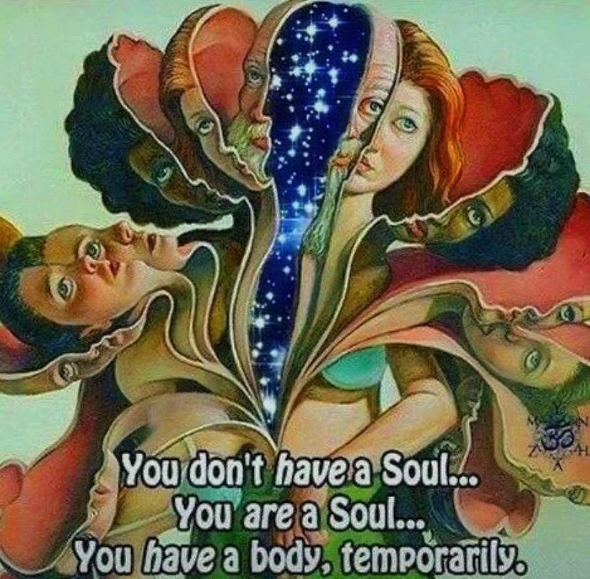 pronto1141's tweet image. 