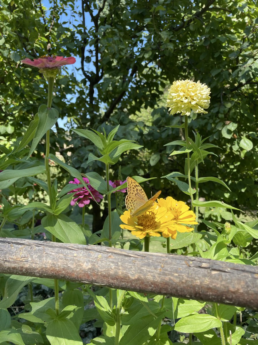 Elif Mercan (@mrcnelif) on Twitter photo 