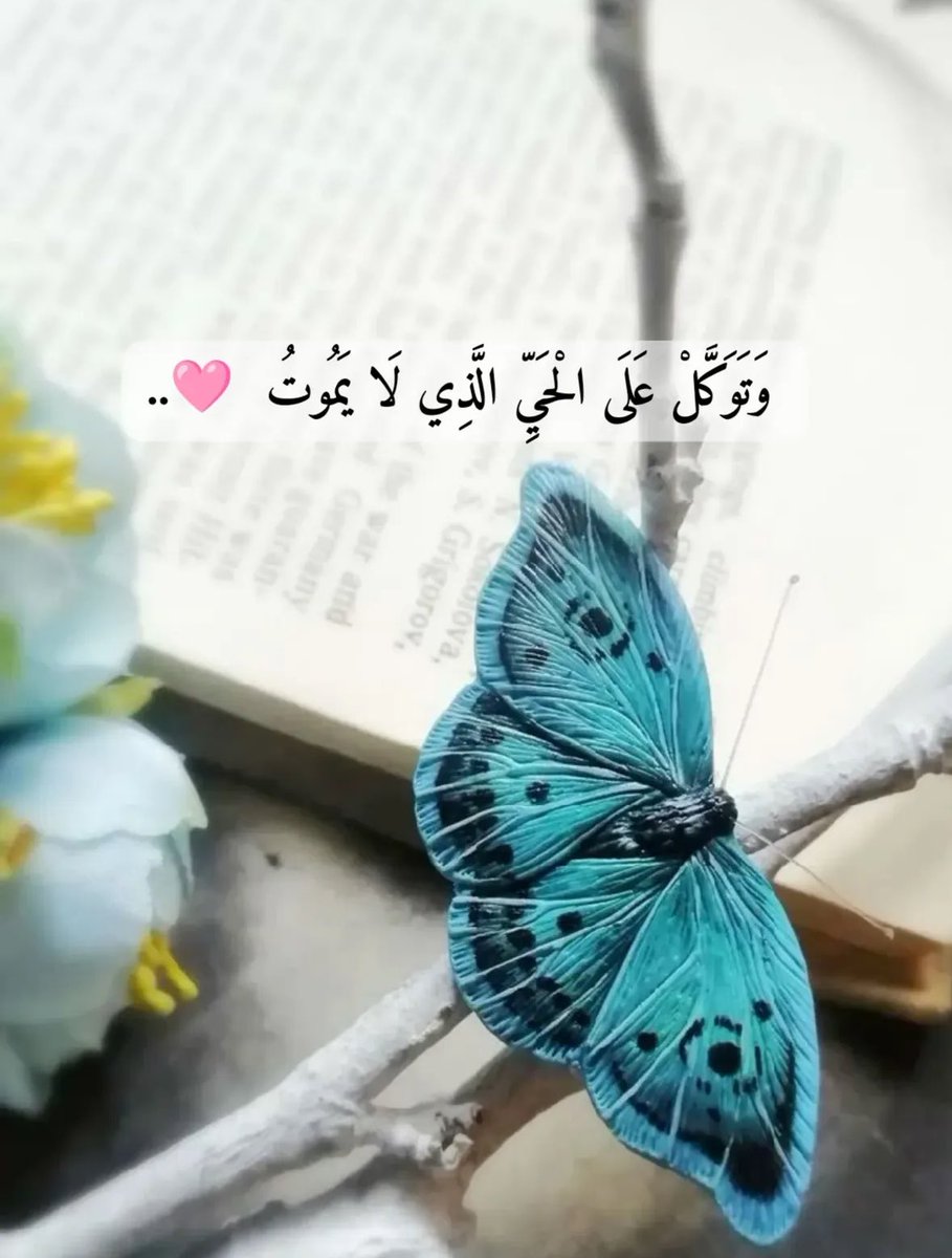 TaghreedGhazi's tweet photo. #همسات 

﴿ اللهُ لَطِيفٌ بِعِبَادِهِ يَرْزُقُ مَن يَشَاءُ وَهُوَ الْقَوِيُّ الْعَزِيزُ ﴾

آية كافية لاطمئنان قلبك استشعرها في صبحك ومساءِك وعافيتك وبلاءِك ففي اليقين بها تمام راحتك

ولو جمعت كل لطف الناس بك فلن يساوي ذلك قطرة في بحر لطف الله بك فاقصده في حاجتك

فحينما تشعر أن المنافذ كلها مغلقة ستعرف معنى (( اللطيف)) الذي يوصل إليك برَّهُ من المنفذ المستحيل 

ومن مظاهر لطفه أنه ييسر الكلمة الصالحة على لسان أحدهم ، فتخترق قلبَك مباشرة فتعيد ترتيب الإيمان والفوضى في نفسك 

فنيران الأحزان ولهيب الهموم  يطفئها يقيننا بقول الحي القيوم ﴿ اللهُ لَطِيفٌ بِعِبَادِهِ ﴾

اللهم الطف بنا يا لطيف
اللهم اغفر لي ولوالدي ووالد والدي ووالديكم ولمن له حق علينا وللمسلمين والمسلمات الاحياء منهم والاموات . .

•

•