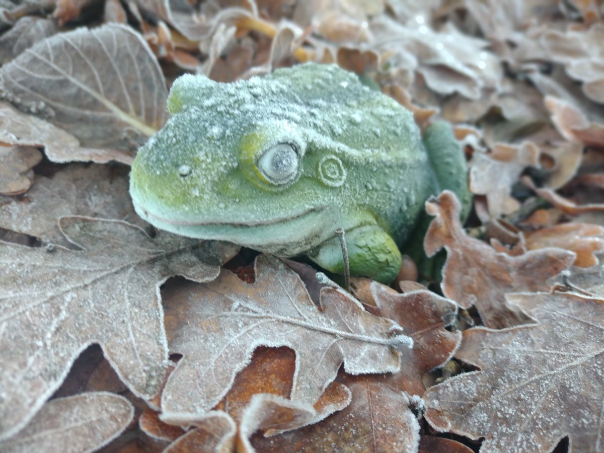 Nic ⚔️ Tendy's agent (Sight's my thing) tweet media