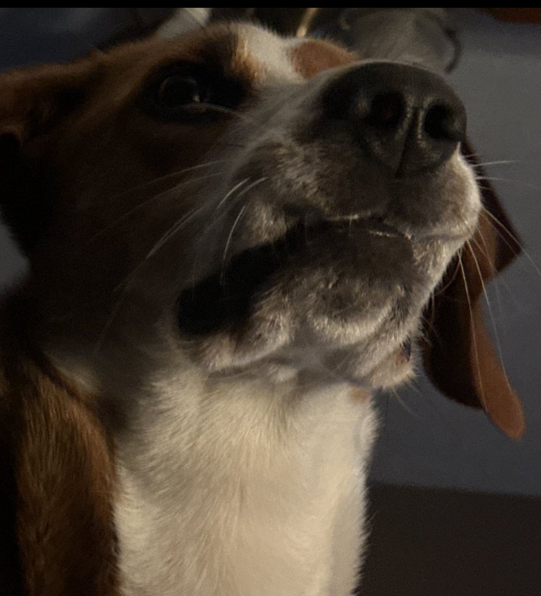 Miss you so much Moot