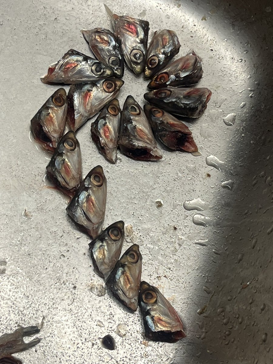 空氣炸鍋雞腿🍗
今天處理了好多魚
擺了造型