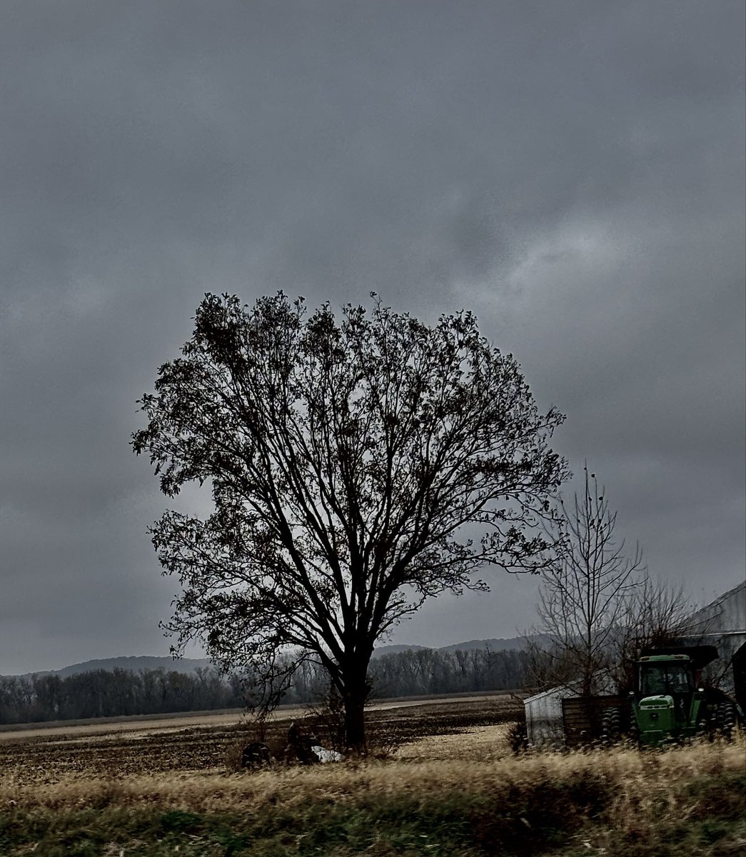 r_u_c_n_o_k_'s tweet image. 