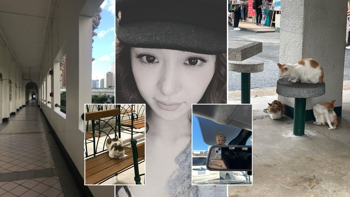 tlvsion's tweet image. 