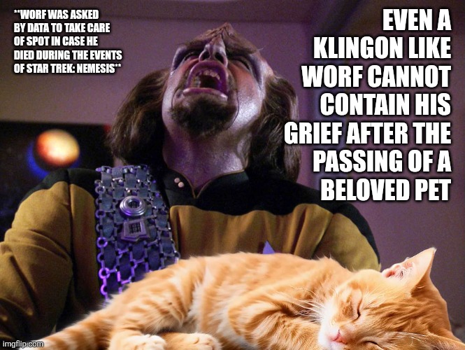 seansxbrand's tweet image. #started #tng #Worf #Spot #Data