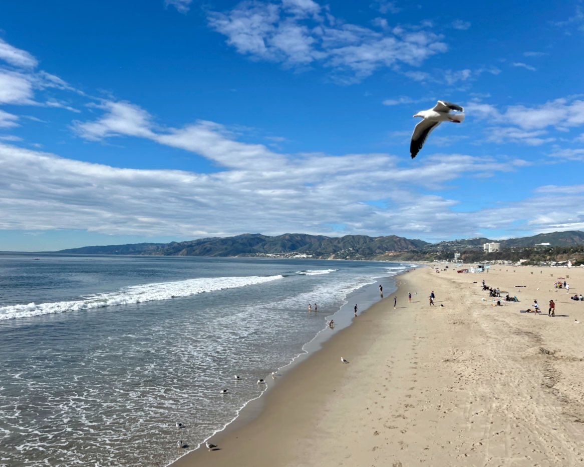 Diana_in_Winter's tweet image. 🌊From Santa Monica Pier today. The greenness of the Palisades and Malibu hills from this vantage point is heartening. The seagulls were out in force. A beautiful day after the rains. 
#SantaMonica #SantaMonicaPier #Malibu #AttitudeOfGratitude #ThisMoment #WeAreHere #EXTPP
